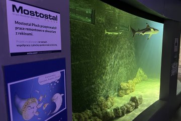 Commemorating the cooperation between Mostostal Płock and Płock Zoo