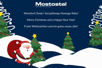 Christmas and New Year Wishes