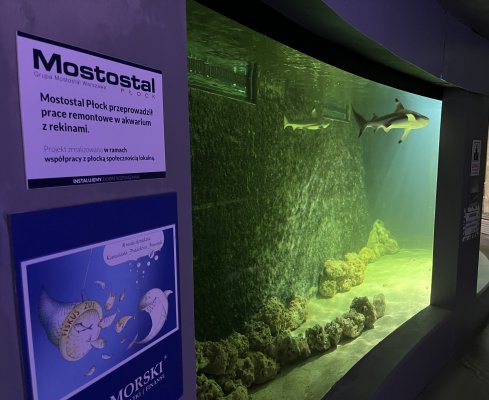 Pamiątka współpracy Mostostalu Płock z płockim ZOO